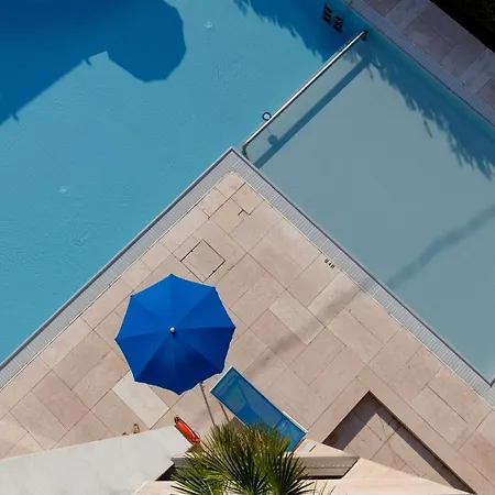 Idania バルドリーノ