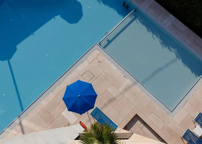 Idania バルドリーノ